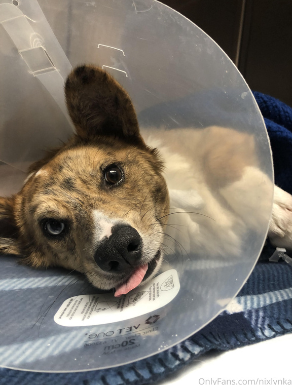 Princess Nixlynka Onlyfans pictures